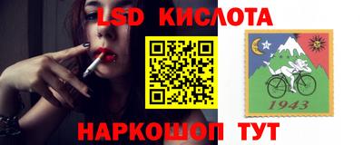 гашик Малоярославец