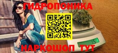 гашик Малоярославец